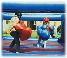 Bouncy Boxing
